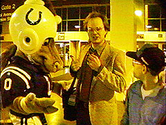 Conversation with a Horse