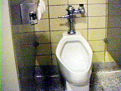 Women's Urinal