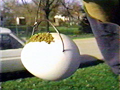 Dada Anti-Easter Egg