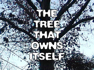 The Tree That Owns Itself